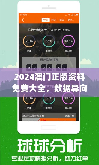 2025澳门免费资料,正版资料，全面释义、解释与落实