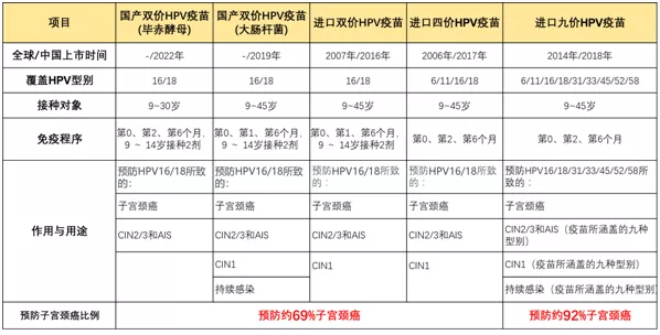 2025新澳门精准正版免费，全面释义、解释与落实